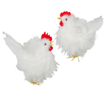 pb. 1 feather chicken 2 ass. white 17/22 cm