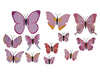 pb. 12 butterflies/magnet pink ass.