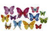 pb. 12 butterflies/magnet ass.