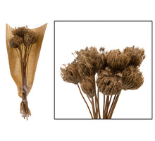 Garland placuna 100cm Natural