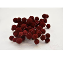 Platan bal bundel 250 gram BROOMBEER
