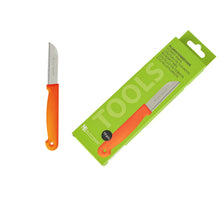 Tasche oder Karte mit 10 Schalen Orangen