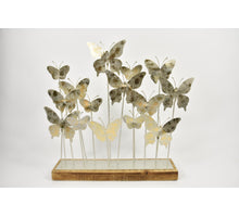Stielmädchen Silbergras 10x10x72cm Gelb