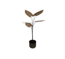 Calathea im Topf Metall 67x76x120cm Antik Gold