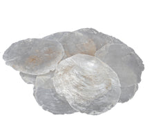 Capiz schelpen naturel 500gram