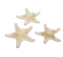 Orion Topf rund terra - h16.5xd19cm