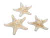 Orion Topf rund terra - h16.5xd19cm