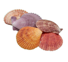 Muurdecoratie vlinder goud - l50xb20xh3,5cm