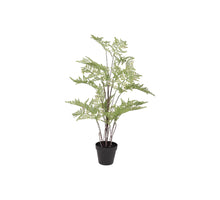 Pflanze Farn im Topf D52 H75cm Grün