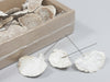 Schachtel 40 Schwamm Pilz/Draht 10cm weiß waschen