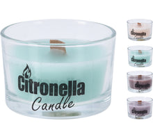 CITRONELLA-KERZE IM GLASGEFÄSS D7.5 H5CM 4 FARBLICH SORTIERT