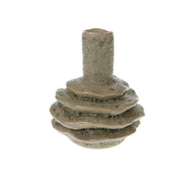 Federschilf lang Kyan 70gr Burgund