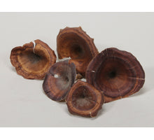 w/bs. 26 Stück kartoos Kugel/Draht 10cm natur