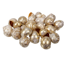 pb. Nattai goldene Wäsche 500 gr