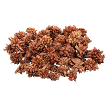 pb. Sternblume natur 500gr.
