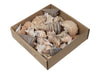 Gemischte Muscheln, Natur, 500 g.