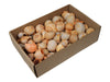 w/b. nattai shells light orange 500 gr.