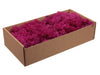 w/b. finnland moos fuchsie 500g.