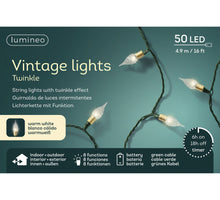 LED lights 8 functie twinkel buiten groen/w. wit L.490cm
