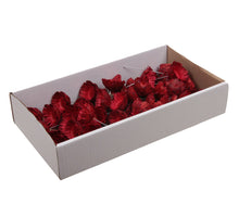 w/b. 50 protea compacta/wire 10 cm red