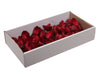 w/b. 50 protea compacta/wire 10 cm red