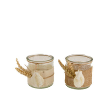 Dried flowers in tray 57x18x3cm White-wash