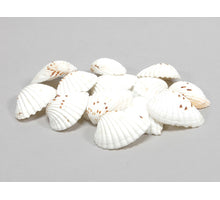pb. tiger chippy natural 500 gr