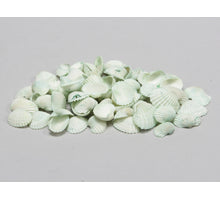 Wit met groene mini schelpen 1 kg