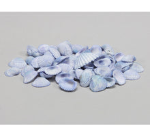 Wit met blauwe mini schelpen 1 kg