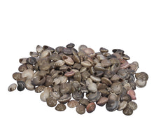 pb.button shell natur 500 gr.