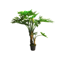 Philodendron Wasimbu grün 155cm