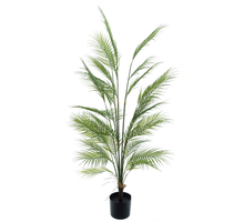 Areca-Palme Ilona im Topf, grün, 150 cm