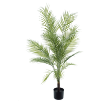 Areca-Palme Sara im Topf, grün, 130 cm