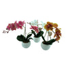 Orchidee Seide im Topf 3fach sortiert 40cm