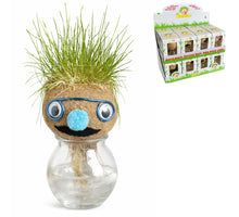 Grasfreunde Gesicht Pflanzen in Vase D8 H12 cm 4-fach sortiert