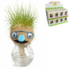 Grasfreunde Gesicht Pflanzen in Vase D8 H12 cm 4-fach sortiert