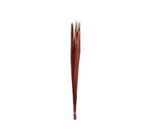 Bundle Sonnenpalme 100cm Braun