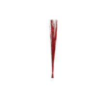 Bündel Juni Gras 100cm Rot