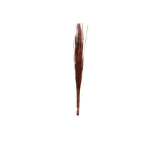 Bündel Juni Gras 100cm Braun