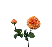 Dahlia LG Spray 74 cm Lachsfarben