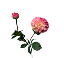 Dahlia LG Spray 74 cm dunkelrosa