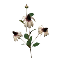 Rudbeckia Spray 83 cm Creme