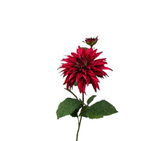Dahlie x 1 + Knospen-Spray 74 cm rot
