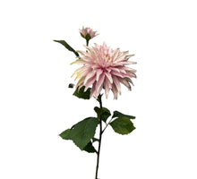 Dahlie x 1 + Knospen-Spray 74 cm Perlmutt