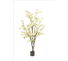 Blütenbaum im Topf, weiß - H175 cm