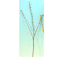 SCHEFFLERA PFLANZE 220LVS, 80CM