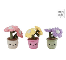 Take Me Home Plüschblume L 3er-Set 18cm