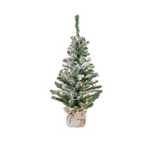 Imperial boom LED BO binnen dia41cm H.75cm 35L groen/wit