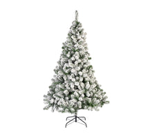 Kaiserlicher Tannenbaum schneeweiß/grün Ø 219 H 360 cm