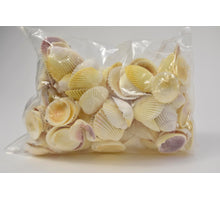 Mini cockles 3cm naturel zak à 1 kg